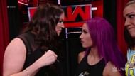 This Could have been a great feud
